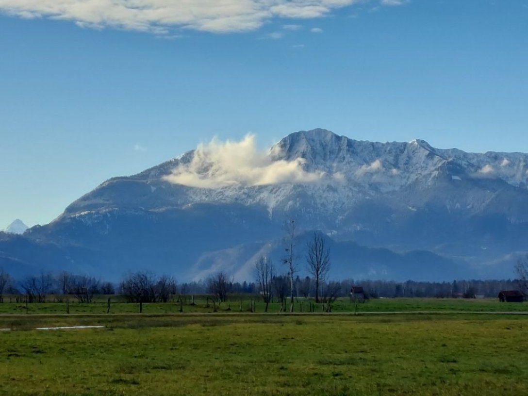 Moos im Winter_1.jpg