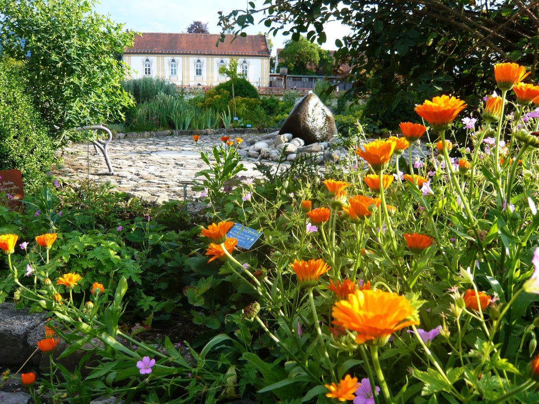 Geheimnisse der Benediktbeuerer Klosterg&auml;rten.JPG