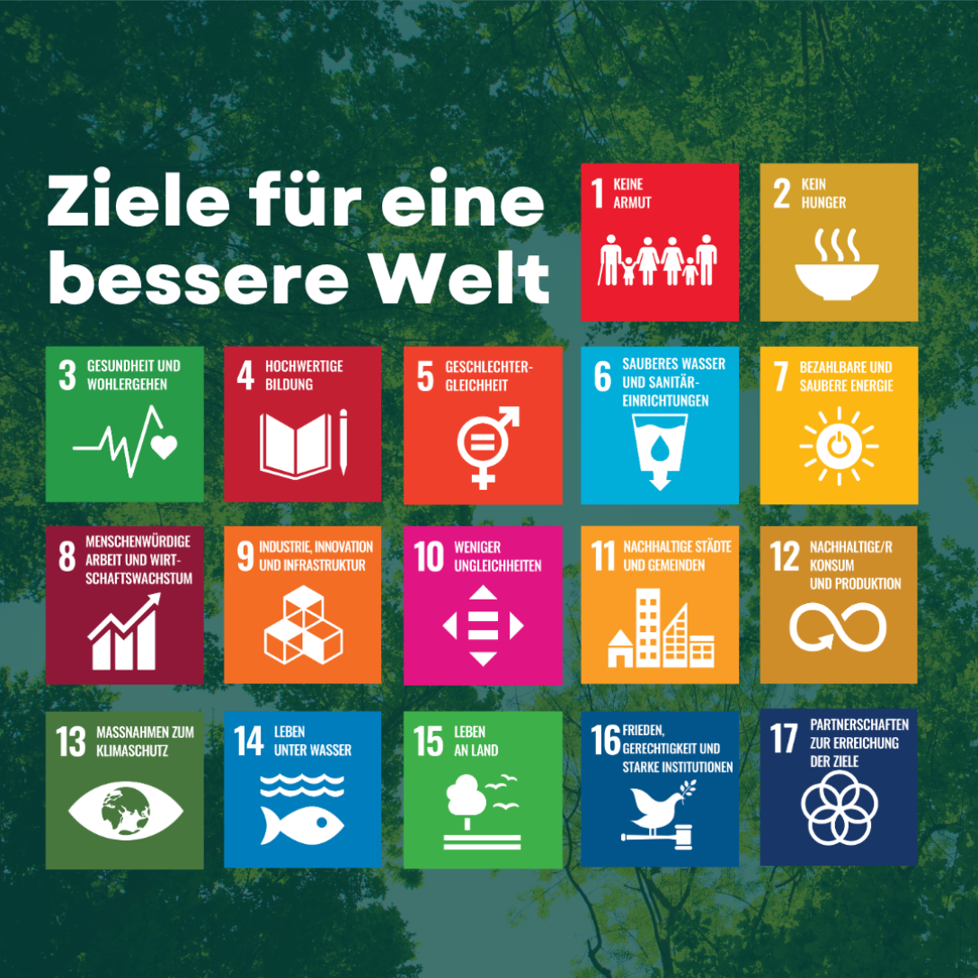 SDGs - Sustainable Development Goals.png
