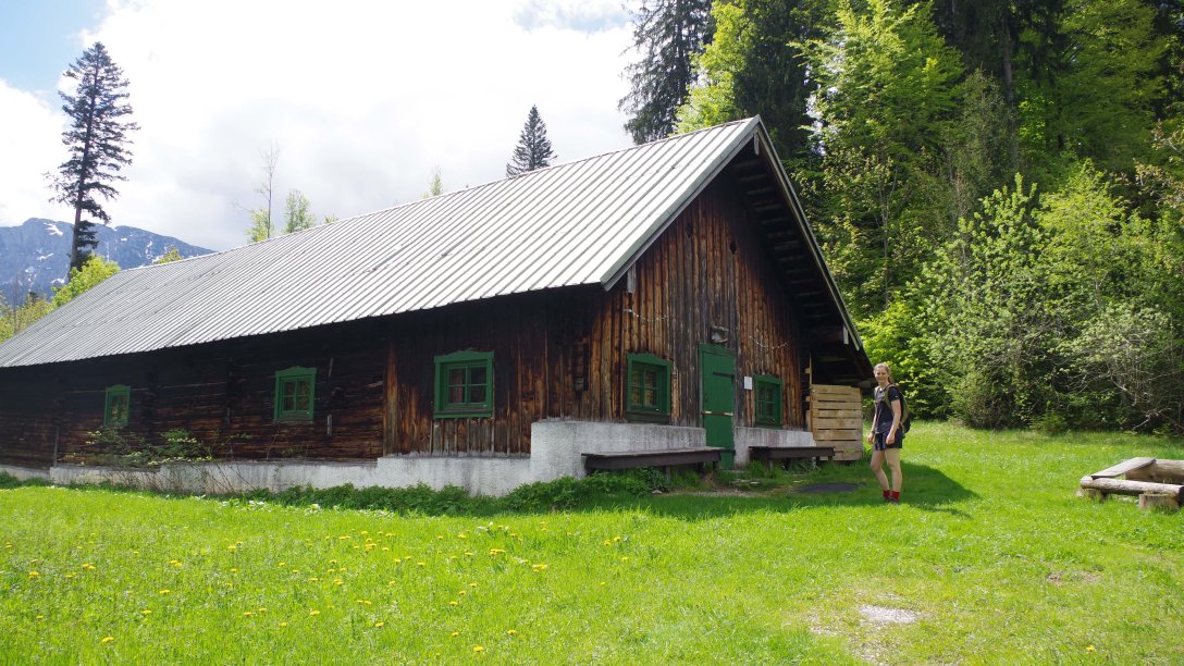 Kohlstatt-Alm im Zentrum für Umwelt und Kultur