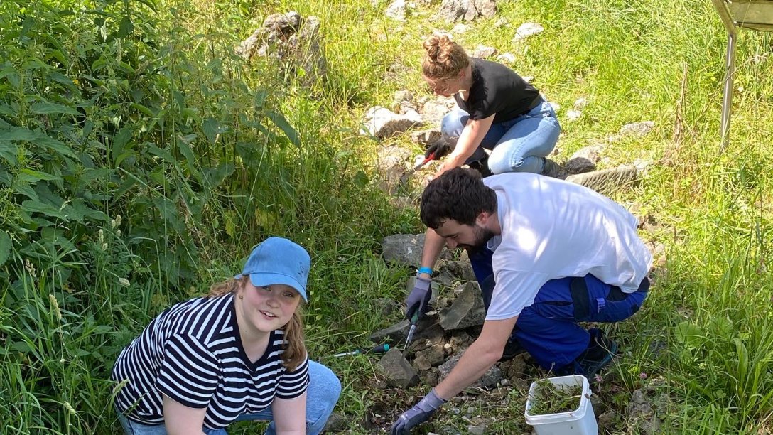 Freiwllige junge Menschen helfen beim Bau eines neuen Pfads im Zentrum für Umwelt und Kultur