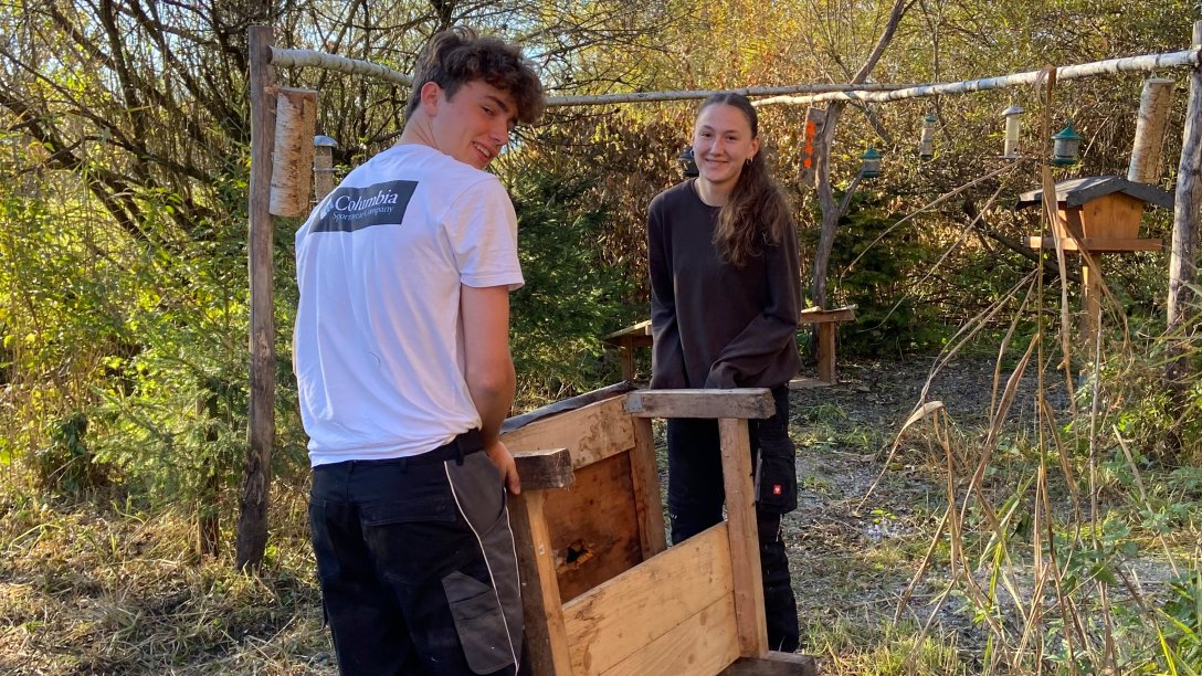 Freiwllige junge Menschen helfen beim Bau eines Holzgerüsts im Zentrum für Umwelt und Kultur