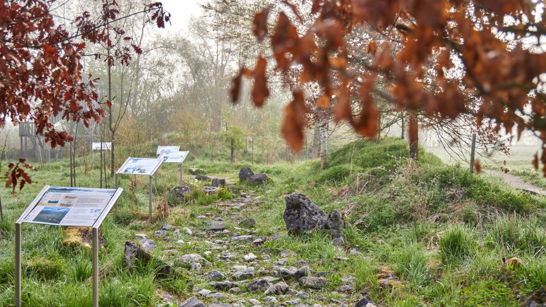 Barfußpfad im Naturlehrgebiet des Zentrums für Umwelt und Kultur