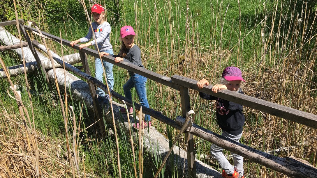 Hochmoorpfad im Naturlehrgebiet des Zentrums für Umwelt und Kultur