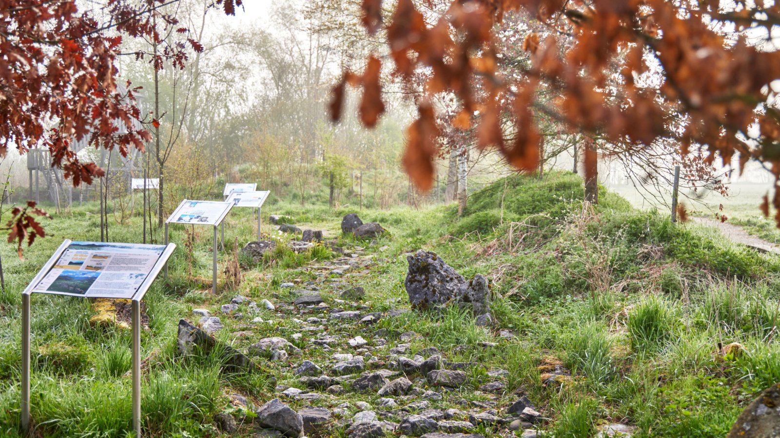 Naturlehrgebiet im Zentrum für Umwelt und Kultur