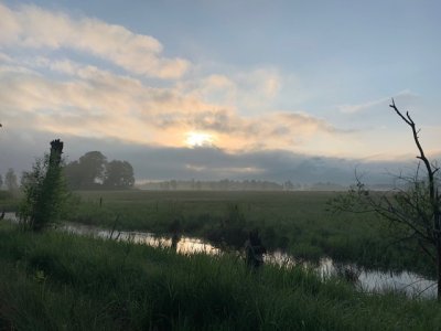 Moos im Winter_2.jpg