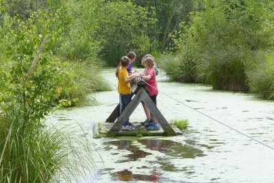 &Ouml;kologische Exkursion.jpg