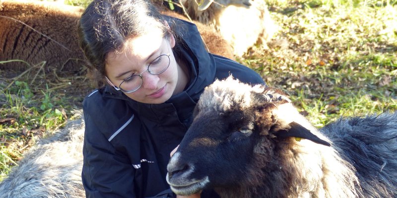 zuk-veranstaltungskalender-Fachtagung -von-tieren-lernen-t.jpg