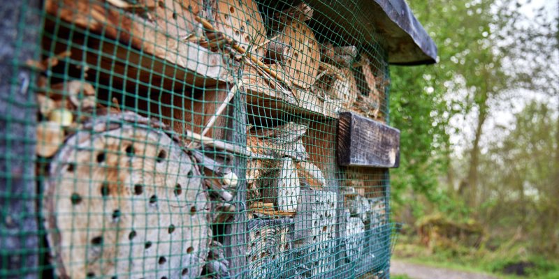 Insektenhotel im Wald