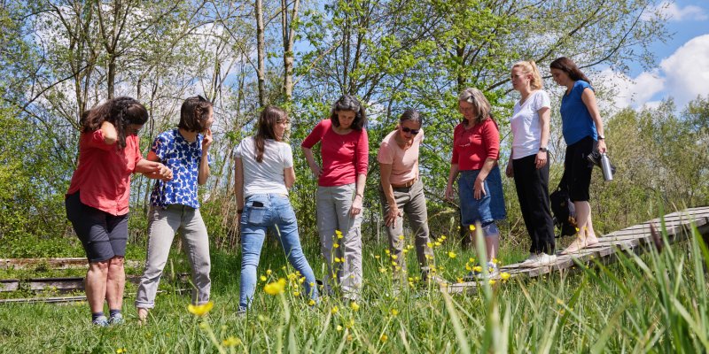 Erwachsenengruppe erkundet das Moorgebiet im Zentrum für Umwelt und Kultur