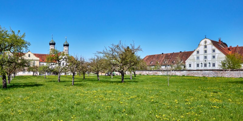 Frühlingswiese mit Blick auf den Maierhof des Zentrums für Umwelt und Kultur und die Klosterkirche