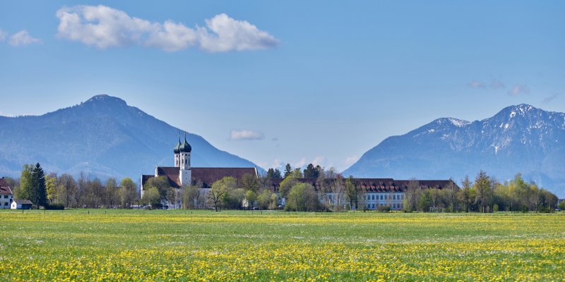 Blühende Sommerwiese mit Klosteranlage Benediktbeuern vor Bergpanorama